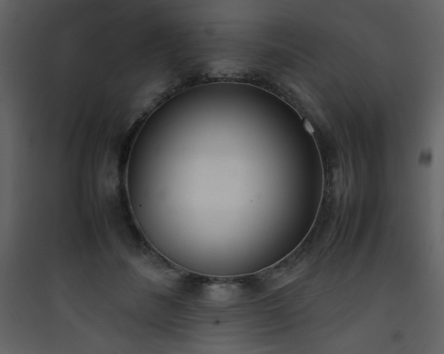 X0000090410508200707131150