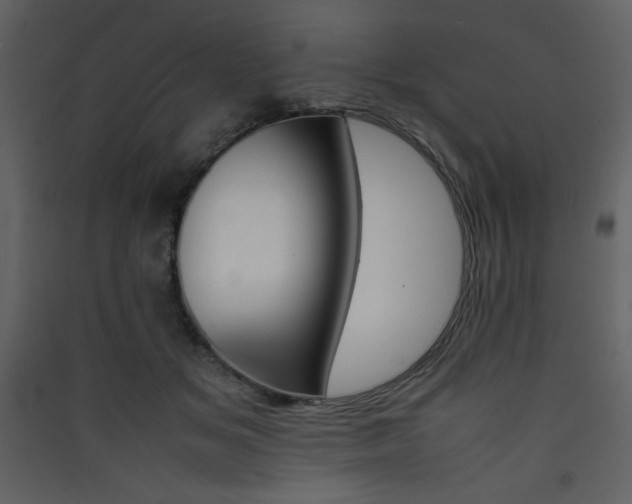 X0000090410509200707131150