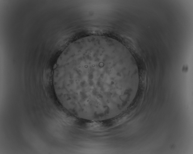 X0000090410511200707131150