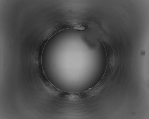 X0000090410512200707131150