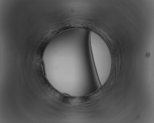 X0000090410513200707131150