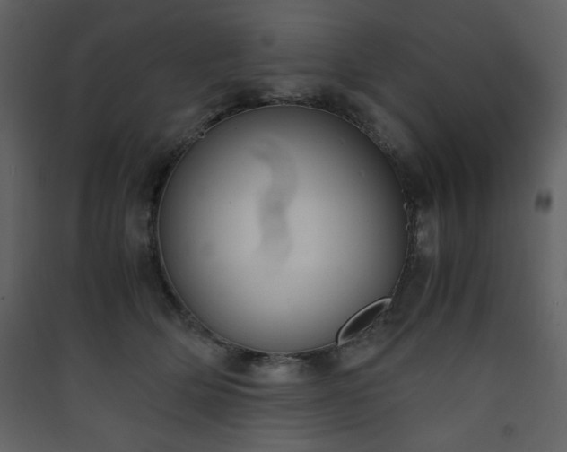 X0000090410514200707131150