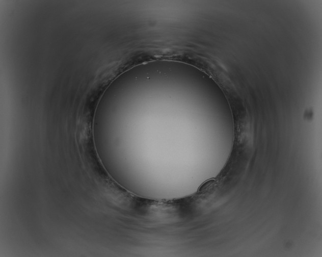 X0000090410515200707131150