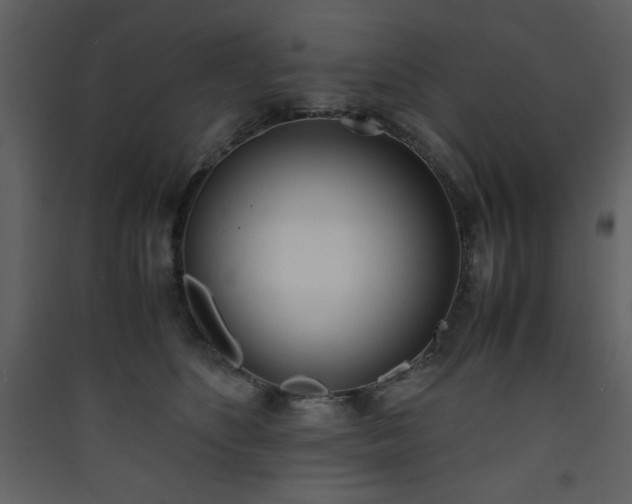 X0000090410516200707131150