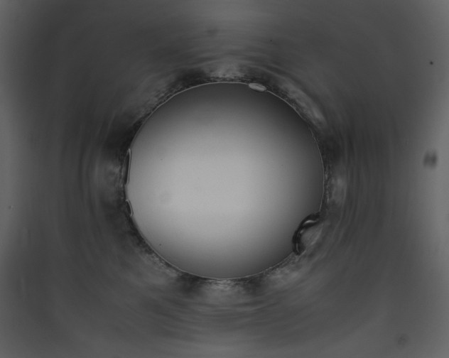 X0000090410521200707131150