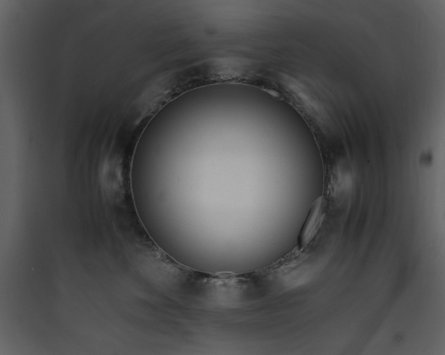 X0000090410524200707131150