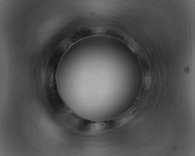 X0000090410525200707131150