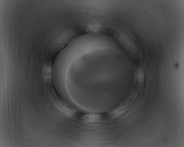 X0000090410526200707131150
