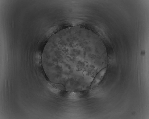 X0000090410527200707131150