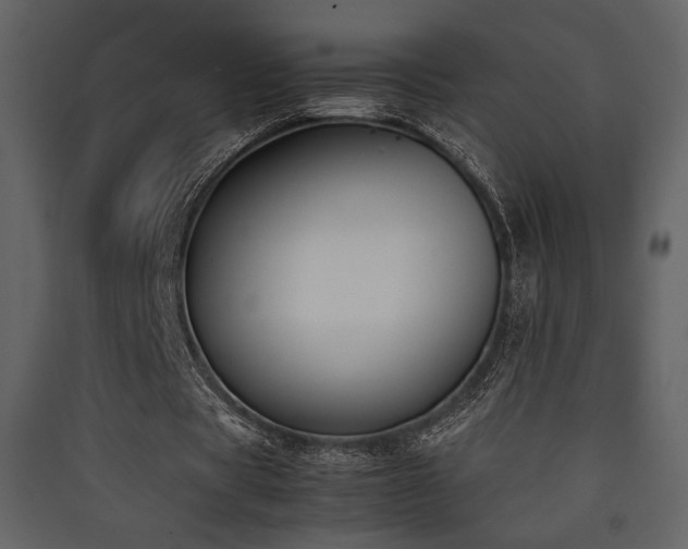 X0000090410529200707131149