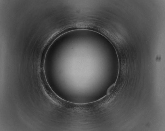 X0000090410530200707131149