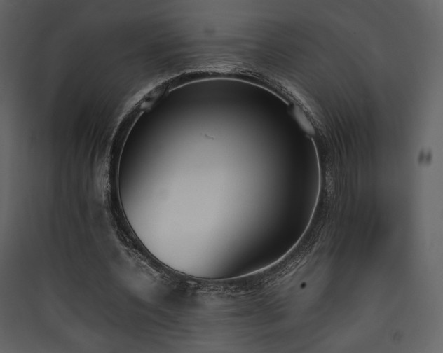 X0000090410532200707131149