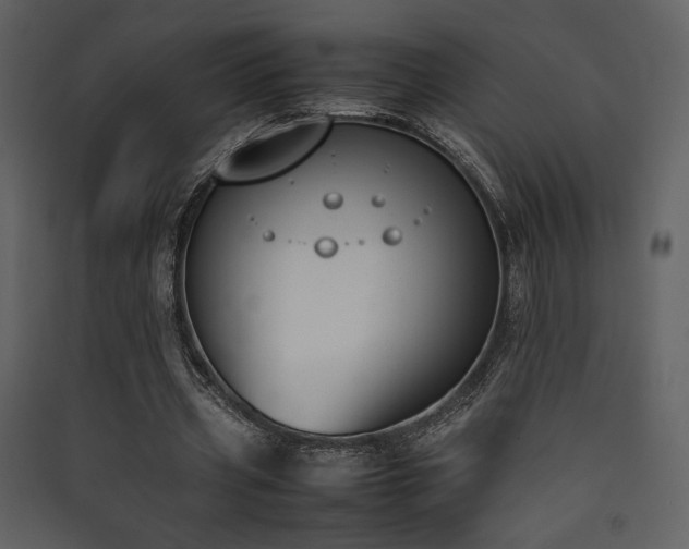 X0000090410533200707131149