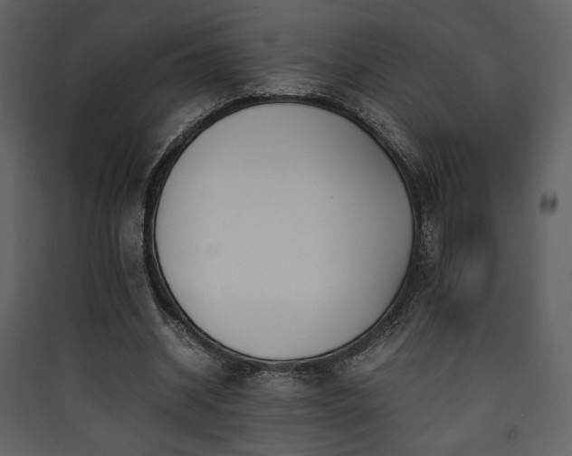 X0000090410534200707131149