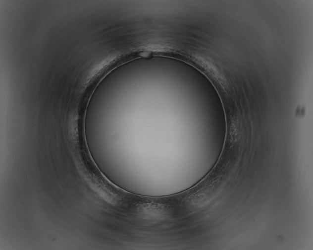 X0000090410535200707131149