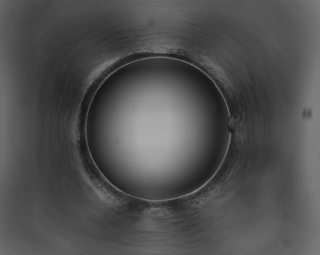 X0000090410536200707131149
