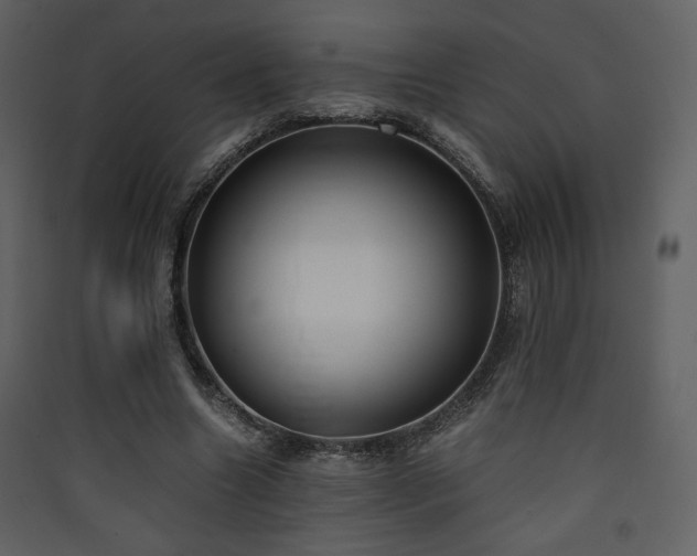 X0000090410538200707131149