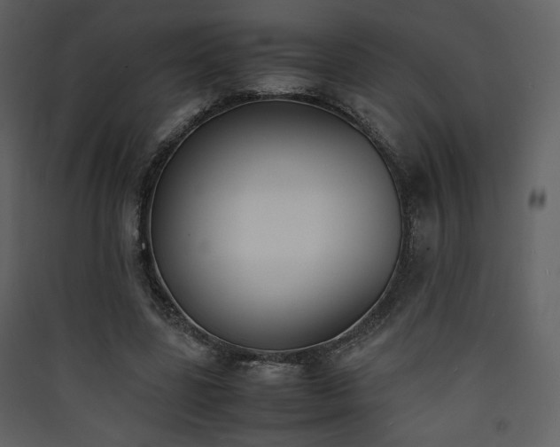 X0000090410539200707131149