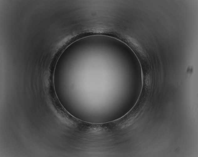 X0000090410540200707131149