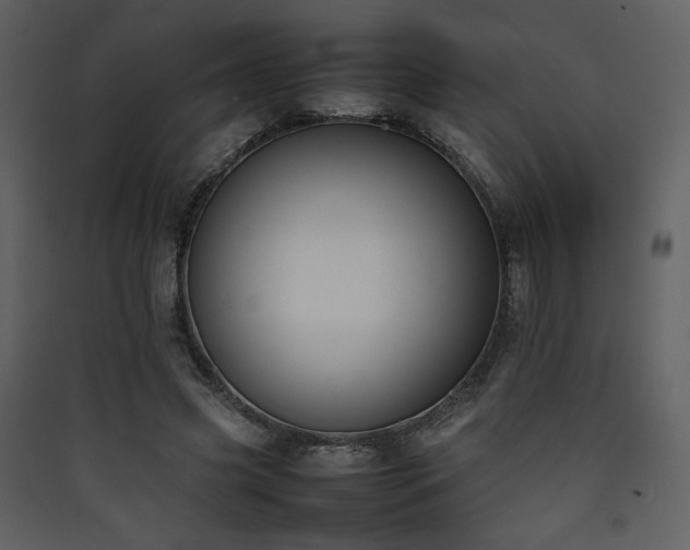 X0000090410541200707131149