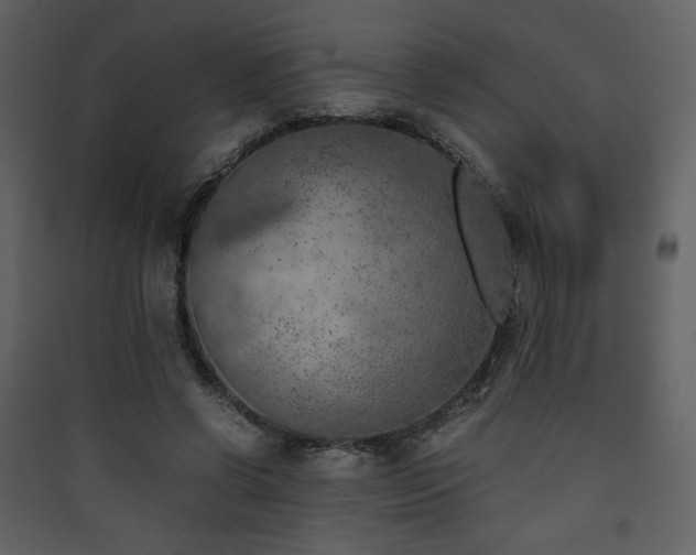 X0000090410542200707131149