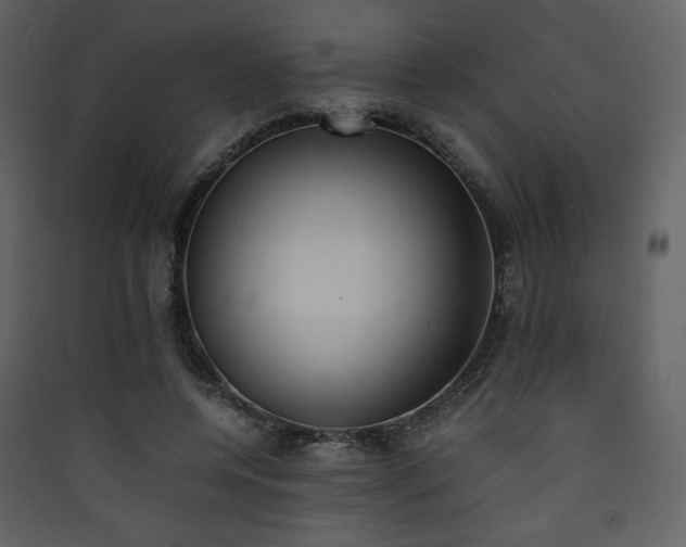 X0000090410544200707131149