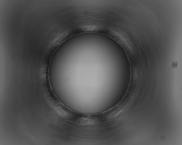 X0000090410545200707131149