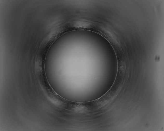 X0000090410547200707131149