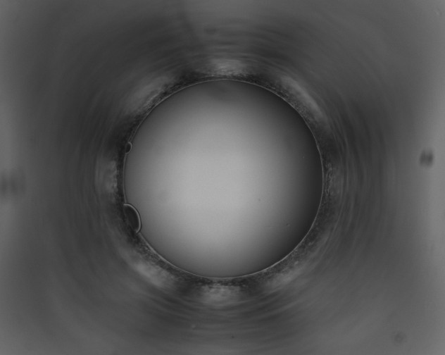 X0000090410549200707131149