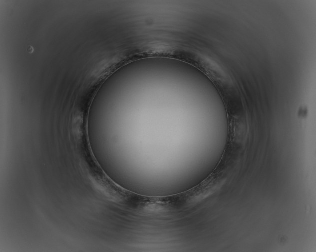 X0000090410550200707131150