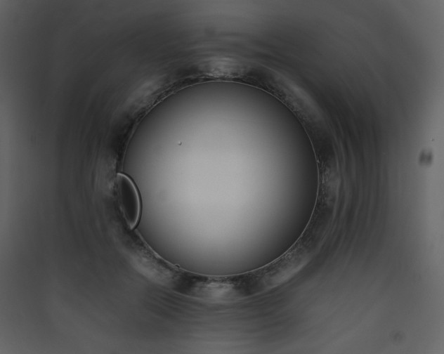 X0000090410554200707131150