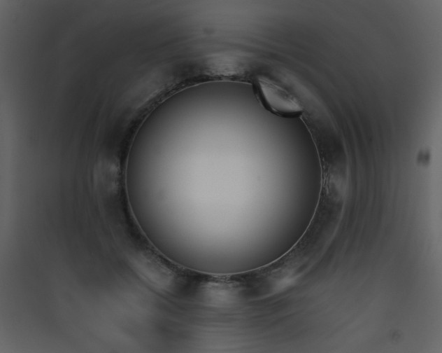 X0000090410556200707131150