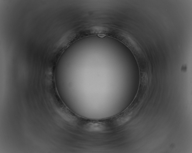 X0000090410557200707131150