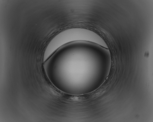 X0000090410558200707131150