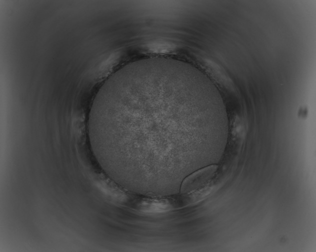 X0000090410559200707131150