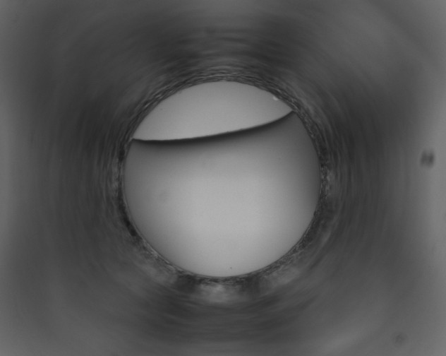 X0000090410561200707131150