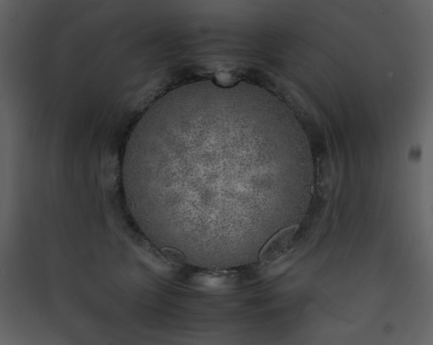 X0000090410563200707131150