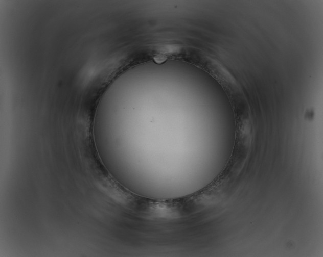 X0000090410565200707131150