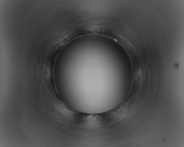 X0000090410566200707131150