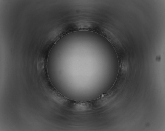 X0000090410567200707131150