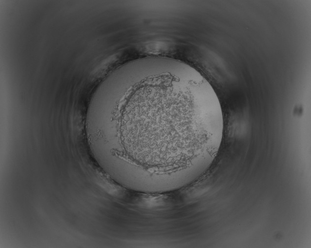 X0000090410569200707131150