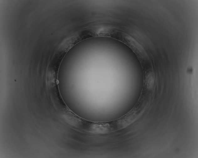 X0000090410571200707131150