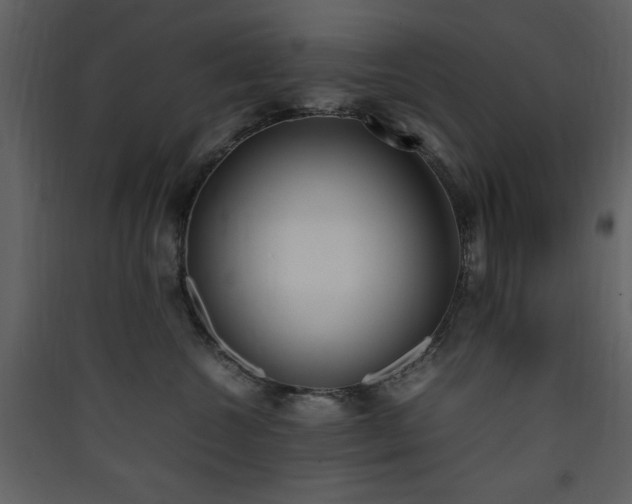 X0000090410572200707131150