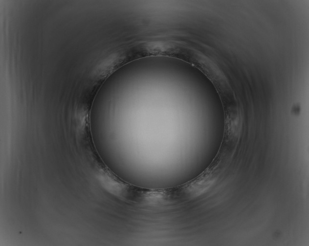 X0000090410574200707131150