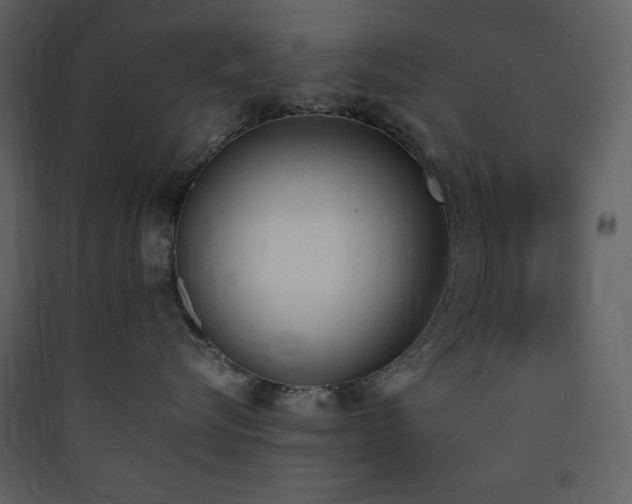 X0000090410576200707131150