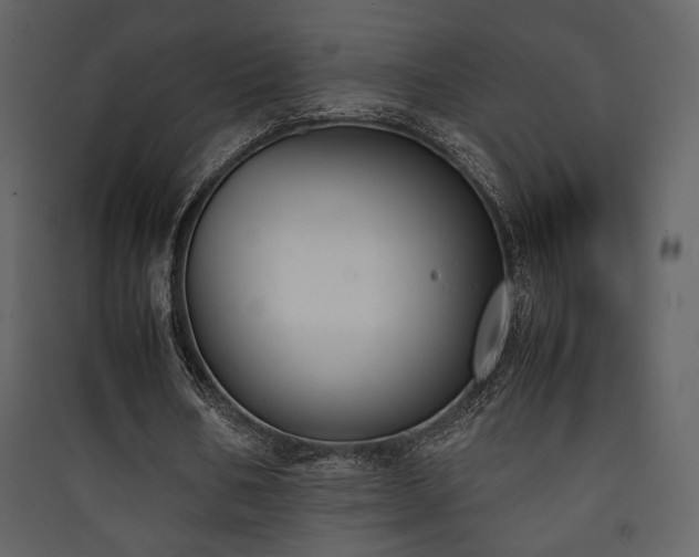 X0000090410578200707131149
