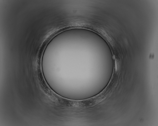 X0000090410579200707131149
