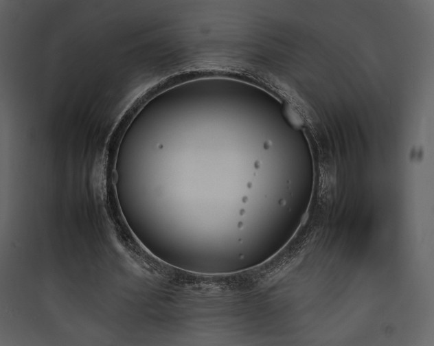 X0000090410580200707131149