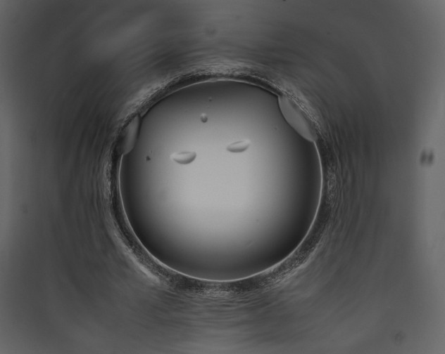 X0000090410581200707131149