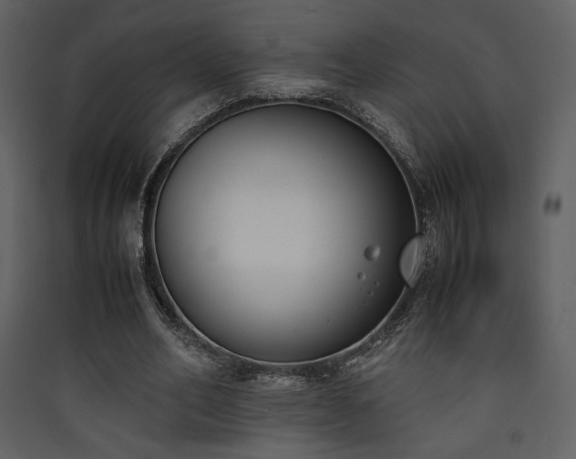 X0000090410582200707131149